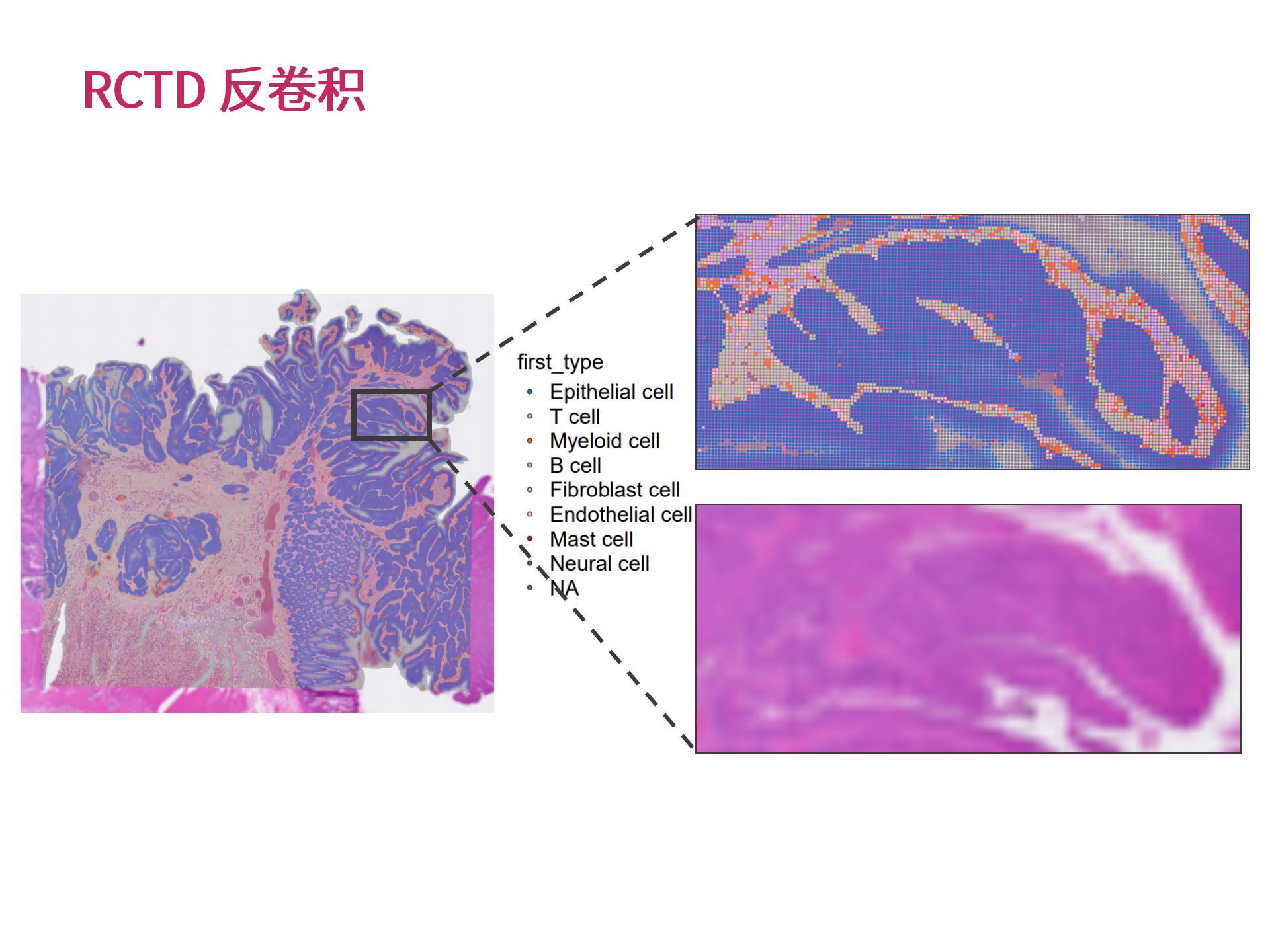 ¹ÙÍø¸öÐÔ»¯ÉúÎïÐÅÏ¢ÆÊÎö (2.25)--_14.jpg