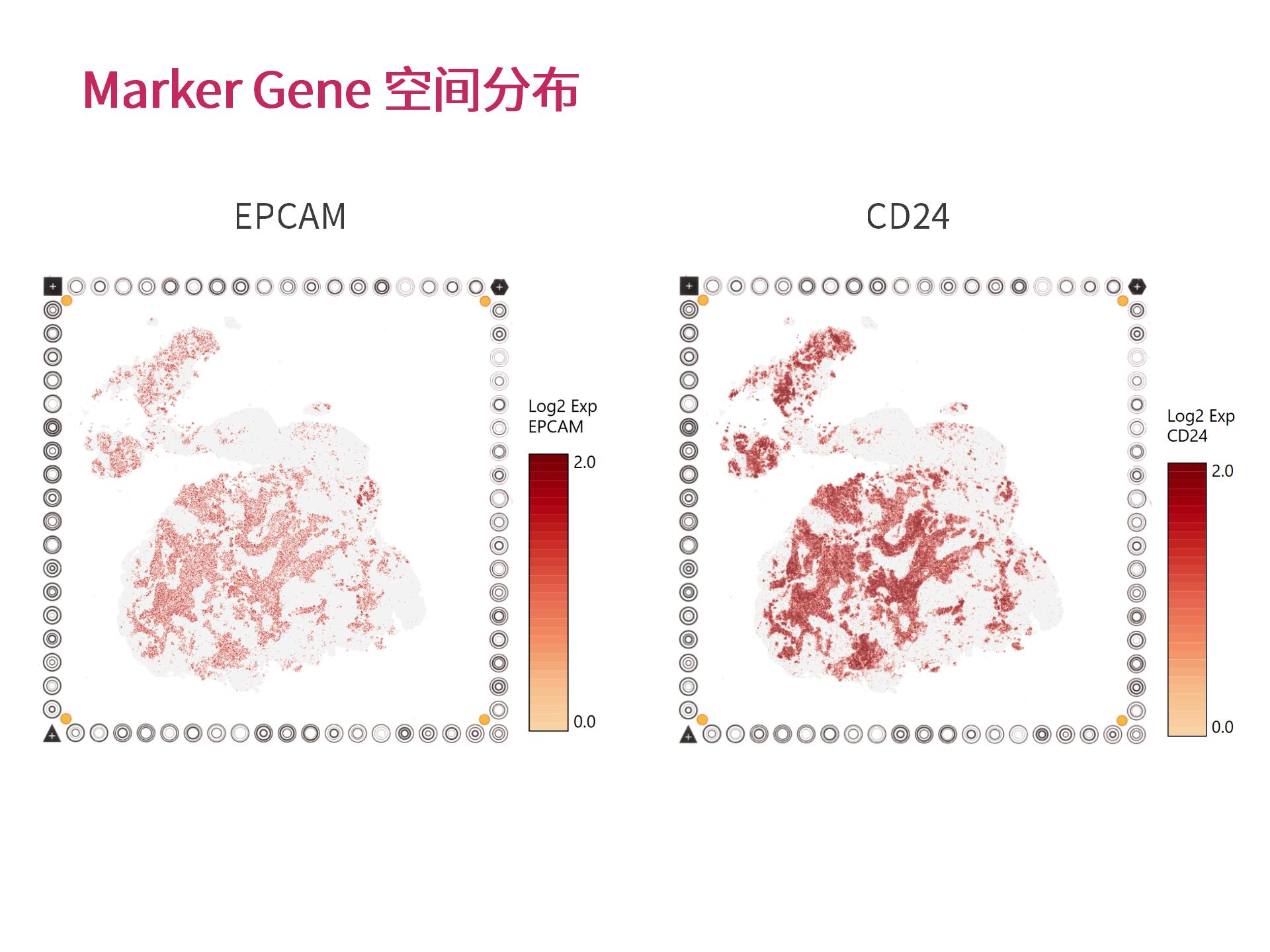 ¹ÙÍø¸öÐÔ»¯ÉúÎïÐÅÏ¢ÆÊÎö (2.25)--_11.jpg