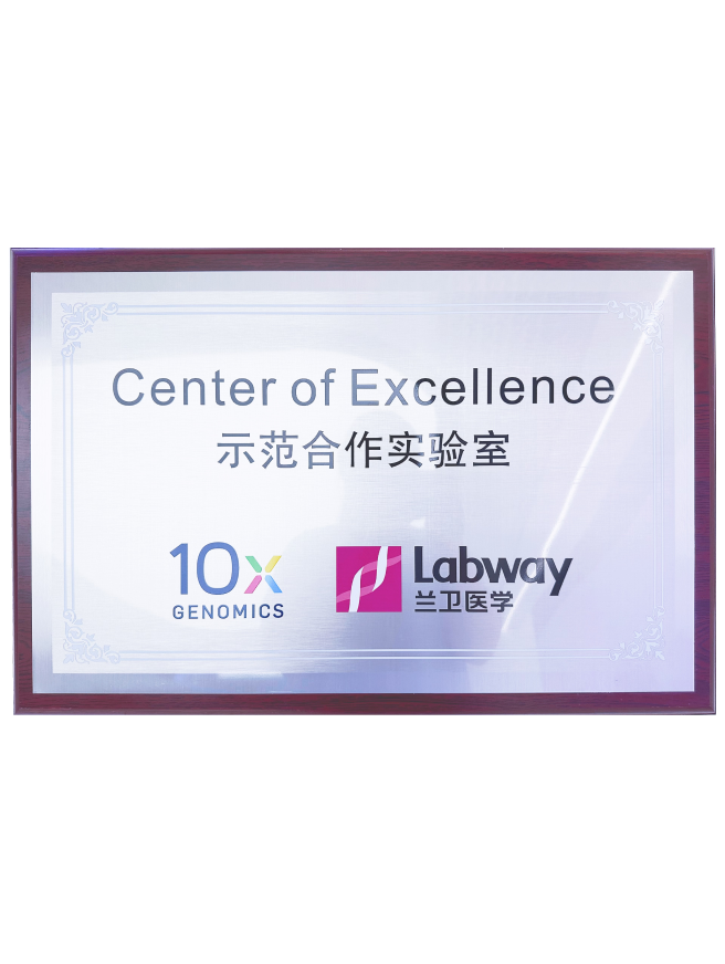 03 long�˹���Ψһ�ٷ���վ��10X��ģ����ʵ����.png